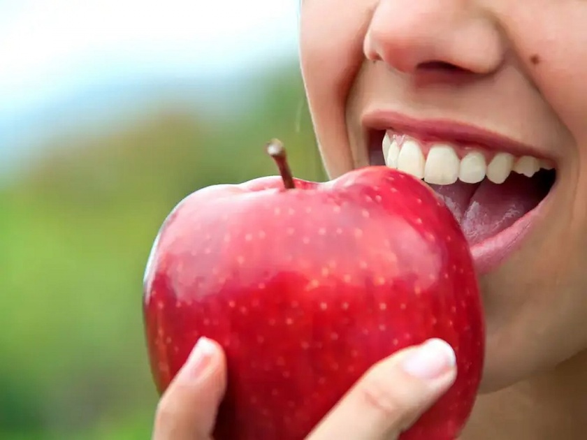 Apple seeds can be poisonous! Here’s what happens when you eat them | सफरचंद तुम्ही आवडीने खात असाल, पण यात विष असतं हे माहीत आहे का?