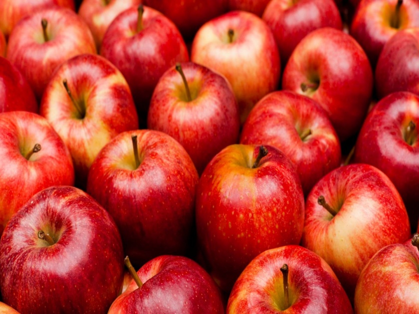 An apple carries about 100 million bacteria says study | तुम्ही सफरचंदासोबत बॅक्टेरिया खात आहात का?; जाणून घ्या काय म्हणतो रिसर्च?