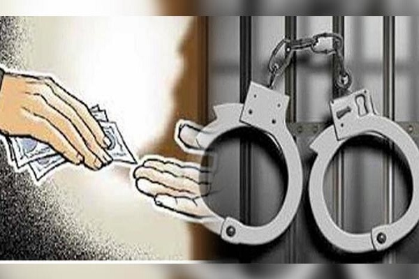 Nandura Municipal chief officer arested while taking two lakh 81 thousand bribe | नांदुरा मुख्याधिकाऱ्यांसह दोन कर्मचाऱ्यांना २ लाख ८१ हजाराची लाच घेताना अटक 