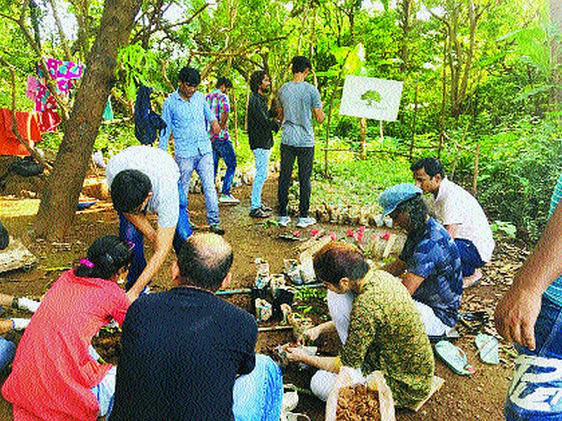 The 'One Seed One Shadow' initiative is being implemented in Aarey Colony | आरे कॉलनीत राबवला जातोय ‘एक बीज एक सावली’ उपक्रम