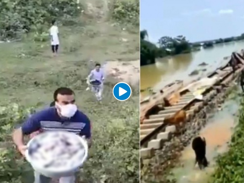 Watch Video : Biharis Offer Food to Mizos After Video of Mizos Aiding Assamese svg | Video: ...म्हणून भारत देश आहे महान; इथे संकटकाळात एकमेकांच्या मदतीला धावतात लोक!