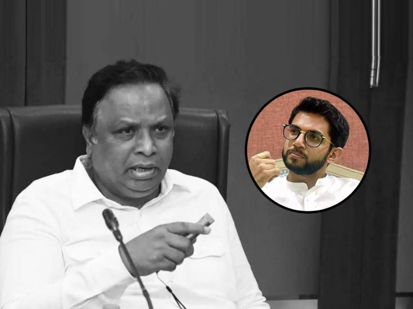 Aditya Thackeray Vs Ashish Shelar: "अन्याय झाला म्हणून कोल्हेकुई करू ...