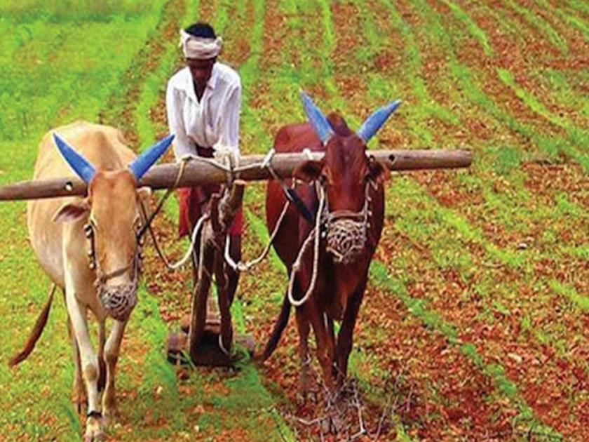 1600 crore crop loan distribution target, banks will distribute loans to farmers for Kharif season | १६०० कोटींचे पीककर्ज वाटपाचे उद्दिष्ट, बँकांद्वारा खरीप हंगामासाठी होणार शेतकऱ्यांना कर्जवाटप
