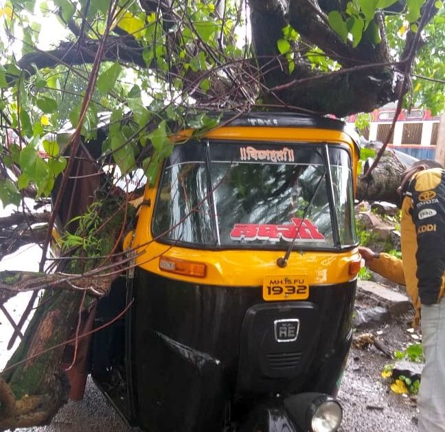 Okra tree 20 years ago fell on a rickshaw | इगतपुरी : २० वर्षांपूर्वीचे भेंडीचे झाड रिक्षावर कोसळले