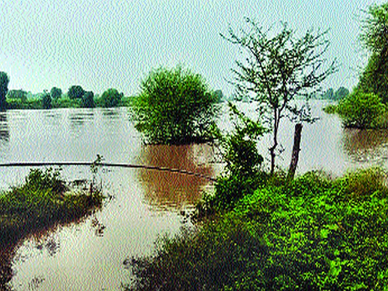 Loss of crops due to premature rains in Marathwada | मराठवाड्यात अवकाळी पावसामुळे पिकांचे नुकसान