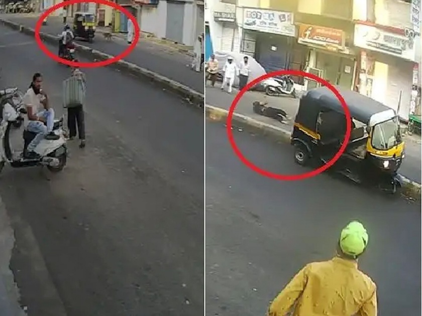 rickshaw overturns after driver tried to hit street dog accident captured in cctv | VIDEO: आता भोगा! कुत्र्याला लाथ मारायचा प्रयत्न केला अन् 'कर्मा'नं गेला; रिक्षाचा अपघात कॅमेऱ्यात कैद