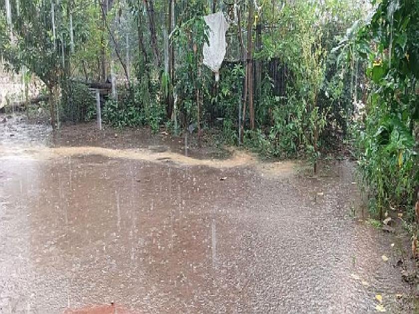Unseasonal rain across the gadchiroli district, Attended many talukas on Sunday | जिल्हाभरात अवकाळी पावसाचा जाेर; रविवारी अनेक तालुक्यांमध्ये हजेरी