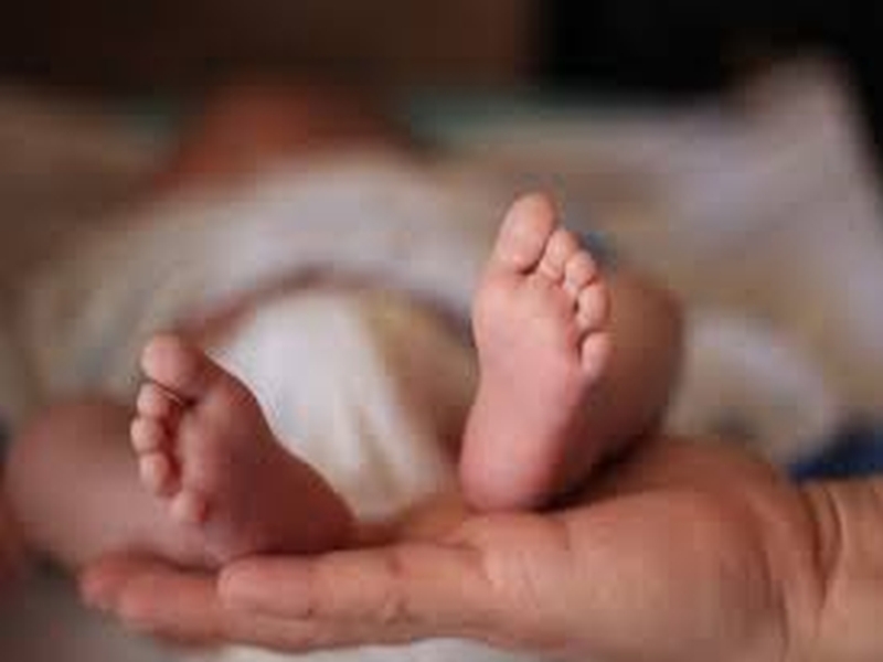 Pimpri-Chinchwad : 2 days baby girl found in open garden | पिंपरी-चिंचवड :  उघड्यावर आढळली 2 दिवसांची जन्मलेली नकोशी, मुलीला हॉस्पिटलमध्ये केले दाखल 