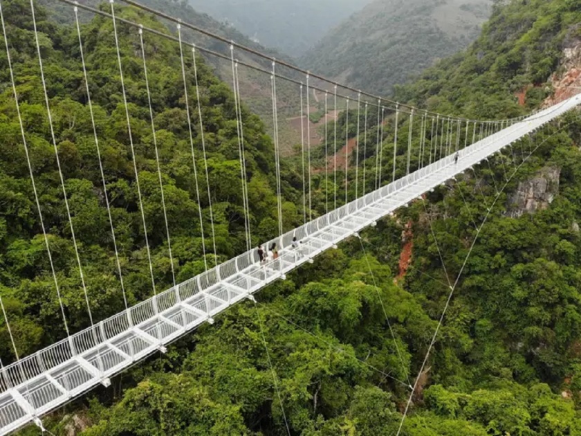 Bach Long Bridge: The longest glass bridge in the world, Vietnam | जगातील सर्वात लांब काचेचा पूल, इथं जाणं एखाद्या अ‍ॅडव्हेंचरपेक्षा कमी नाही
