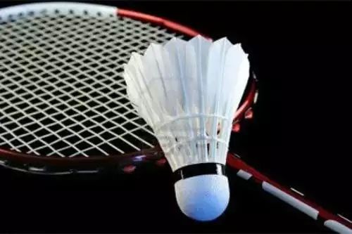 Corona test of 824 badminton players is negative | ८२४ बॅडमिंटनपटूंची कोरोना चाचणी निगेटिव्ह