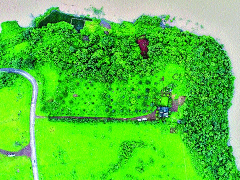 Private forestry in Badlapur | बदलापुरात स्वखर्चातून साकारली खासगी वनराई