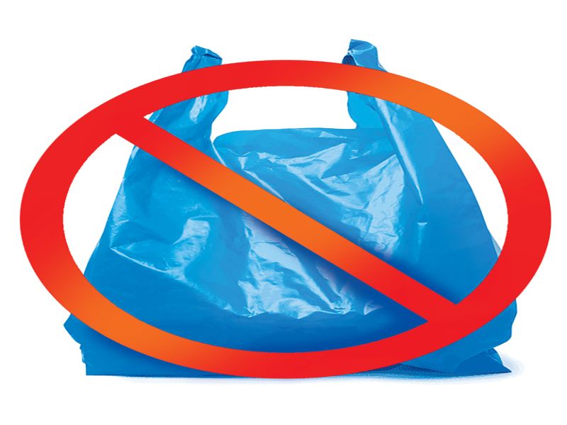 NGO's initiatives for plastic release: bags from saree; Employment in savings groups | प्लास्टिक मुक्तीसाठी स्वयंसेवी संस्थांचा पुढाकार : साड्यांपासून पिशव्या; बचत गटांना रोजगार