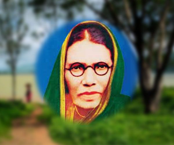 Changes to the structure of the poet's sister-in-law Choudhary monument | कवयित्री बहिणाबाई चौधरी स्मारकाच्या आराखड्यात बदल