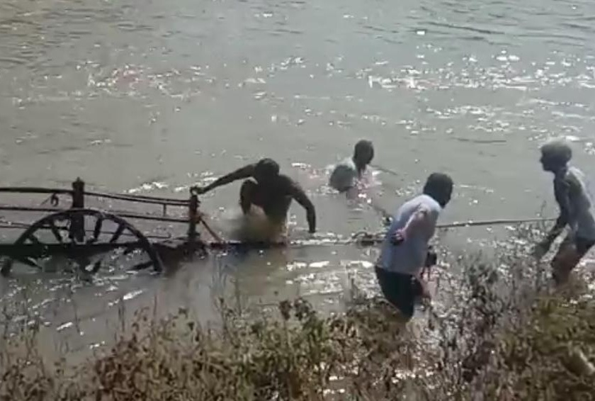 Bulocks Drowning in riverbed; The farmer rescues | नदीपात्रात बैलजोडीचा बुडून मृत्यू; शेतकरी बालंबाल बचावला