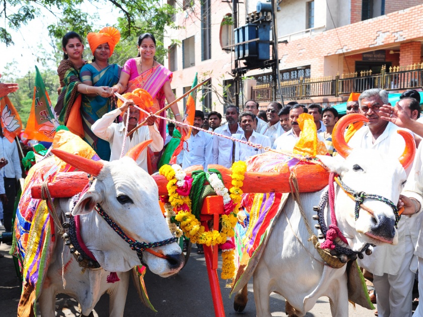 Testing of Shree's glorious chariot with Sarja-Raja | सर्जा-राजासह श्रींच्या वैभवी रथाची चाचणी