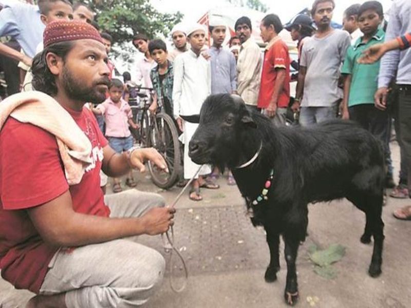 kanpur man replaces goat with dog | बकऱ्याच्या जागी कुत्रा ठेवला; भुंकल्यानंतर व्यापाऱ्याचे डोळे उघडले