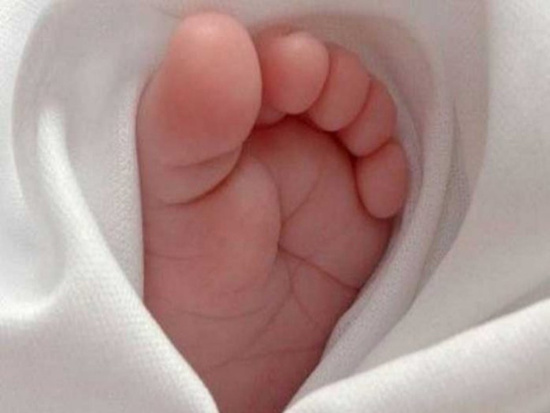 male infants were found dead outrageous incident in uruli kanchan | पुरुष जातीचे अर्भक मृतावस्थेत आले आढळून; उरुळी कांचनमधील संतापजनक घटना