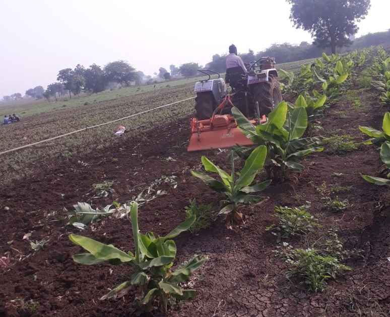 Farmer plough Two acres banana cropp by tractor | हताश शेतकऱ्याने दोन एकर उभ्या केळी पिकात फिरवला ट्रॅक्टर
