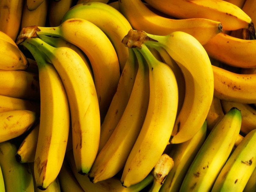 Rajasthan police feed dozens of bananas to thief to retrieve swallowed gold chain | चोराने गिळंकृत केली सोन्याची साखळी, पोलिसांनी पोटभर खाऊ घातली केळी अन् दोन दिवसांनी मिशन फत्ते...