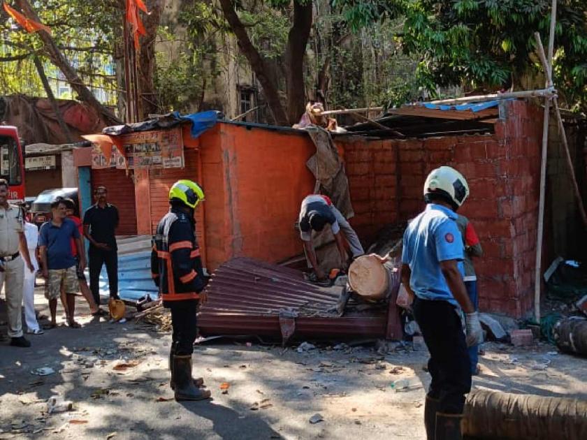 A coconut tree fell in Bandra! The rickshaw driver was injured, the shop was also damaged | अपघात की..? वांद्रे येथे नारळाचे झाड अचानक कोसळले! रिक्षाचालक जखमी, दुकानही जमीनदोस्त