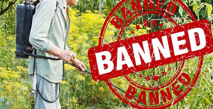 Banning five pesticides; Appeal not to be used | पाच किटकनाशकांवर बंदी; वापर न करण्याचे आवाहन