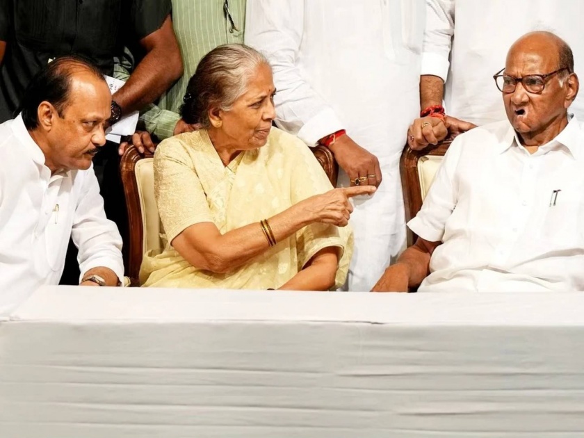 Baramati Lok Sabha Election 2024 Ajit Pawar criticized on supriya sule | Baramati Lok Sabha Election 2024 : 'काल परवा प्रतिभा काकीला प्रचारात पाहिलं, मी कपाळाला हात लावला; अजित पवारांनी स्पष्टच सांगितलं