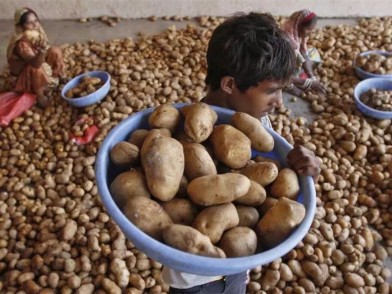 Agra farmer earns Rs 490 from potato crop, sends it to PM Modi in protest | '19 टन' बटाटा विकून मिळाले फक्त 490 रुपये, संतप्त शेतकऱ्याने मोदींना पाठवले