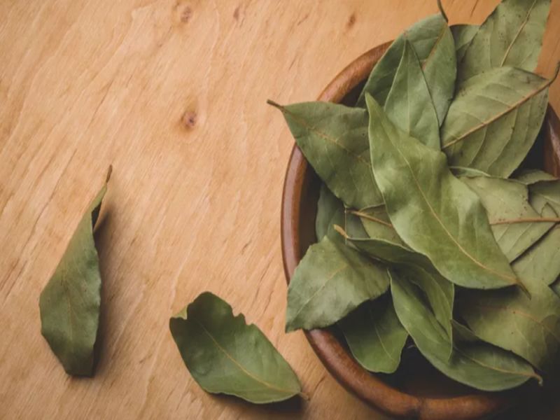 amazing health benefits of eating Bay Leaf | जेवण स्वादिष्ट बनवण्यासोबतच शरीरासाठीही गुणकारी असतो तेजपत्ता!
