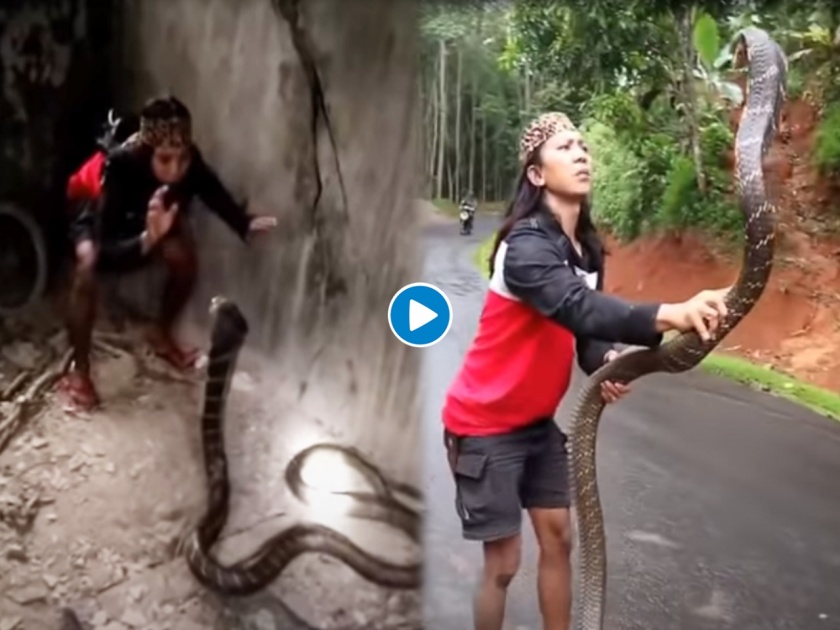 OMG : Video of woman catches giant snake with bare hands, you will shock | बाप रे बाप! महिलेने हाताने पकडला इतका मोठा साप की व्हिडीओ पाहून उडेल थरकाप.....