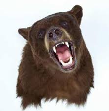 Farmers who irrigate the crop were seriously injured in the bear attack | अस्वलाच्या हल्ल्यात पिकाला पाणी देणारा शेतकरी जबर जखमी