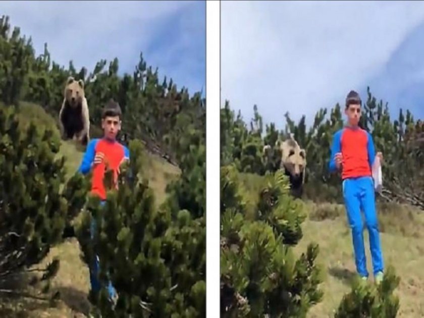 Social Viral : 12 year old boy keeps calm when huge bear following him italian hills, watch video svg | जंगल बुक : 12 वर्षांच्या मुलामागे लागला अस्वल; त्यानंतर जे घडलं, ते पाहून सर्वच झाले हैराण