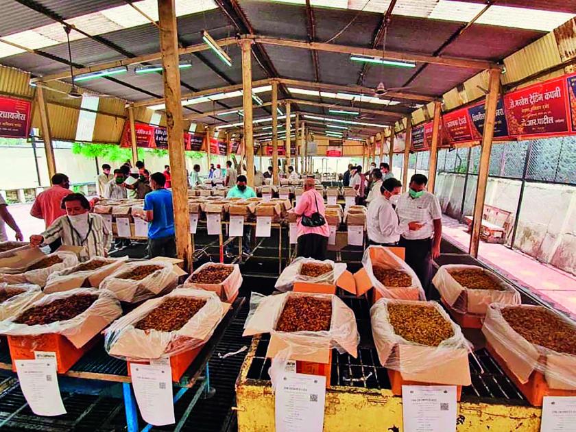 Online deals in Sangli; Sale of 94 tons of raisins | CoronaVirus Lockdown : सांगलीत आनलाईन सौदे;९४ टन बेदाण्याची विक्री