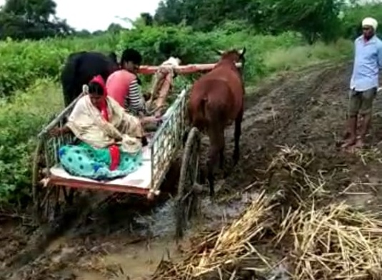 Helpless ! 'This' village still has no road; Woman travels in a bullock cart for delivery ! | हतबलता ! 'या' गावाला अजूनही रस्ता नाही; प्रसूतीसाठी महिलेचा बैलगाडीतून प्रवास !