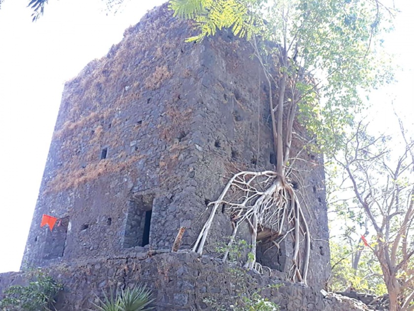 The fort of Belapur; CIDCO apathy | बेलापूर येथील किल्ल्याची दुरवस्था; सिडकोची उदासीनता