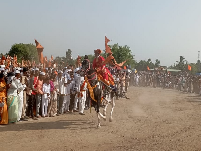 The first horse arena of Sant Tukaram Maharaj's palanquin ceremony was carried out with enthusiasm | VIDEO: "रंगी तुझ्या सोहळ्याच्या रिंगणी, देह दंगे सावळ्याच्या अंगणी" बेलवाडीत पहिले अश्व रिंगण
