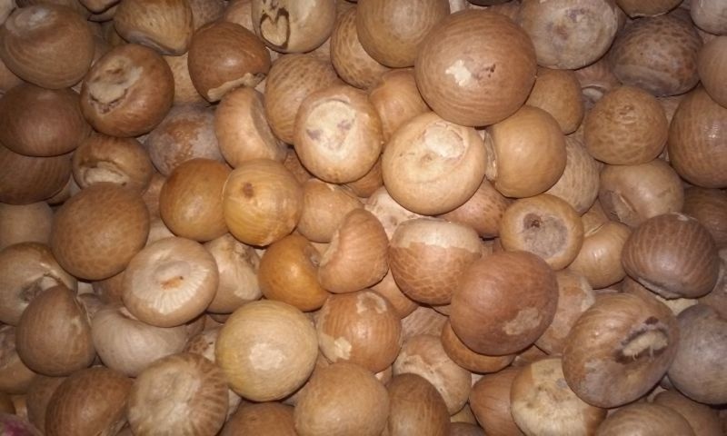 Rs.41.85 lakh betel nut seized in Nagpur |  नागपुरात ४१.८५ लाखांची सुपारी जप्त