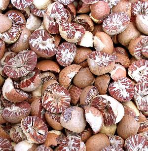 Action on defective betel nut is unsatisfactory; observation of the Nagpur High Court | निकृष्ट सुपारीवरील कारवाई असमाधानकारक ; नागपूर हायकोर्टाचे निरीक्षण