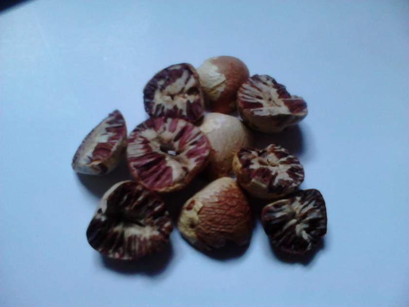 Investigate the inferiour betel nut samples and report it | निकृष्ट सुपारीचे नमुने तपासून अहवाल द्या