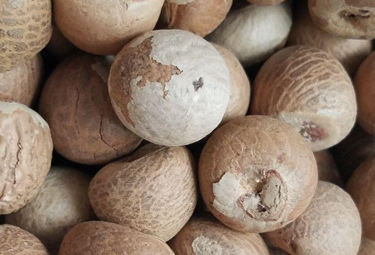Inferior betel nut worth Rs 13 lakh seized in Nagpur | नागपुरात १३ लाखाची निकृष्ट सुपारी जप्त