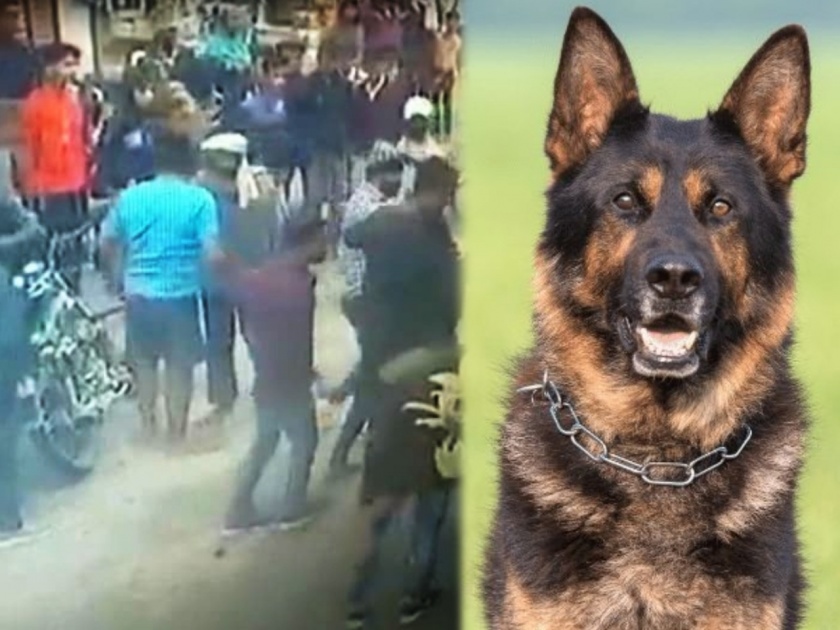 Dog saved owner's life while kidnapping in Gwalior Madhya Pradesh | VIDEO : मालकाला वाचवण्यासाठी किडनॅपर्सवर कुत्र्याने केला हल्ला, जीव मुठीत घेऊन पळाले