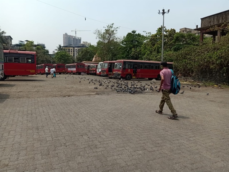 As there is no diesel in the depot, all the buses are parked in the depot | डेपोत डिझेल नसल्याने सर्व बस आगारात आहेत उभ्या