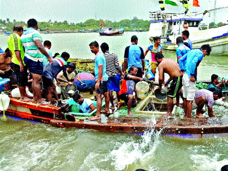 Bhagyalakshmi's 11 fishermen are safe; 43 hours after the tragedy; | भाग्यलक्ष्मीचे ११ मच्छीमार सुखरूप; दुर्घटनेनंतर ४३ तासांनी गाठला किनारा