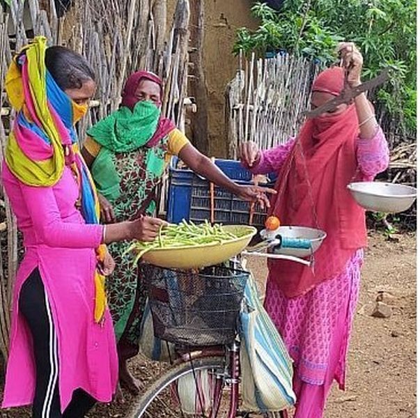 In Gadchiroli, the women of the self-help group got employment by selling vegetables on bicycles | गडचिरोलीत बचतगटाच्या महिलांनी सायकलवर भाजीपाला विकून मिळविला रोजगार