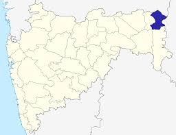 Bhandara-Gondiya Lok Sabha byelection opposed through highcourt | भंडारा-गोंदियात लोकसभेची पोटनिवडणूक घेण्याला विरोध