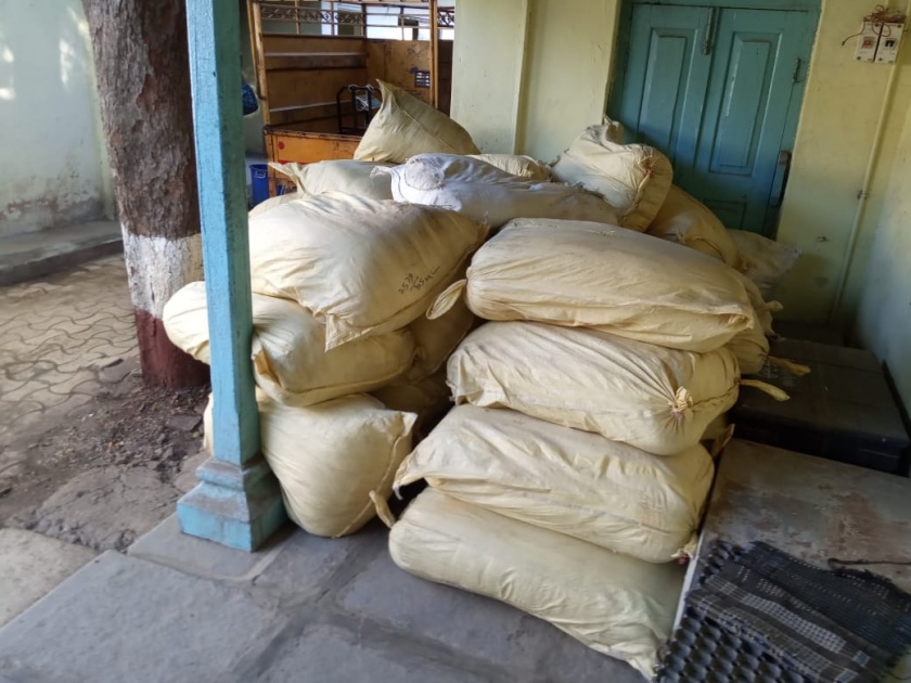 Two tonnes of cannabis seized in Akola | अकोल्यात तब्बल दोन टन भांग जप्त