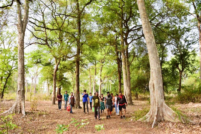 Trees in Bharatvan of Nagpur will continue: Information in High Court | नागपूरच्या  भरतवनातील झाडे कायम राहणार  :  हायकोर्टात माहिती