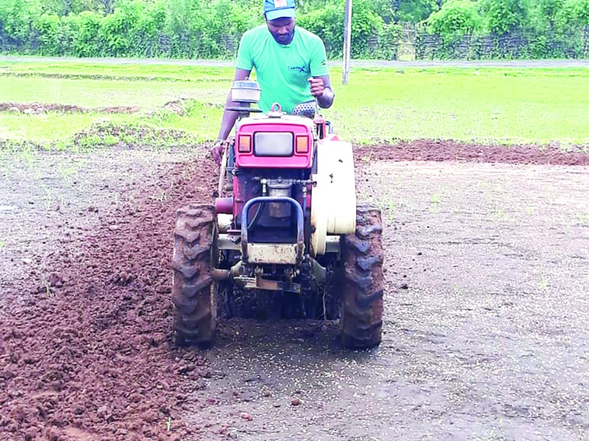 Paddy sowing started in Sahyadri belt | सह्याद्रीच्या पट्ट्यात भातपेरणीला दमदार सुरुवात