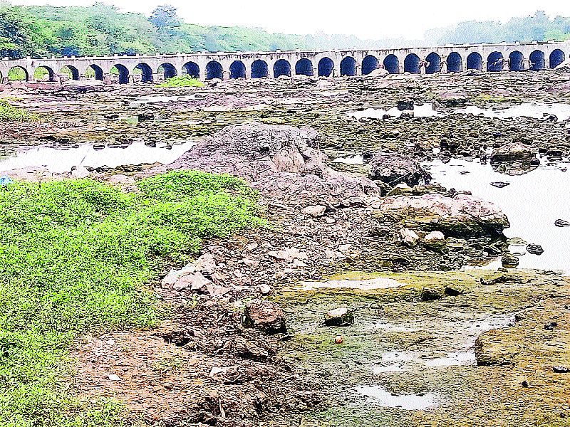  Due to the disappearance of the rain, the Bhima river is dry | पाऊस गायब झाल्याने भीमा नदी कोरडी