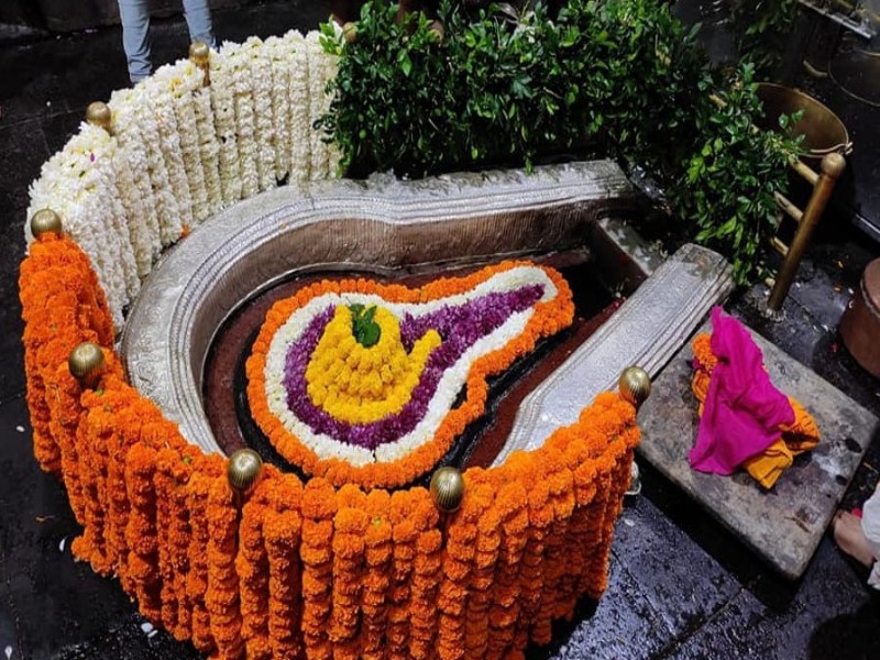 Tricolor on the Shivalinga of Shri Kshetra Bhimashankar; Attractive floral decoration | हर हर महादेव! भीमाशंकरच्या शिवलिंगावर झळकला तिरंगा; आकर्षक फुलांच्या सजावटीने मन जिंकलं