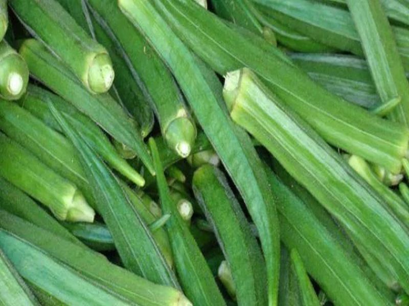 Price cut of okra and cucumber in Pune market committee | पुणे बाजार समितीमध्ये भेंडी, काकडीच्या दरात घट